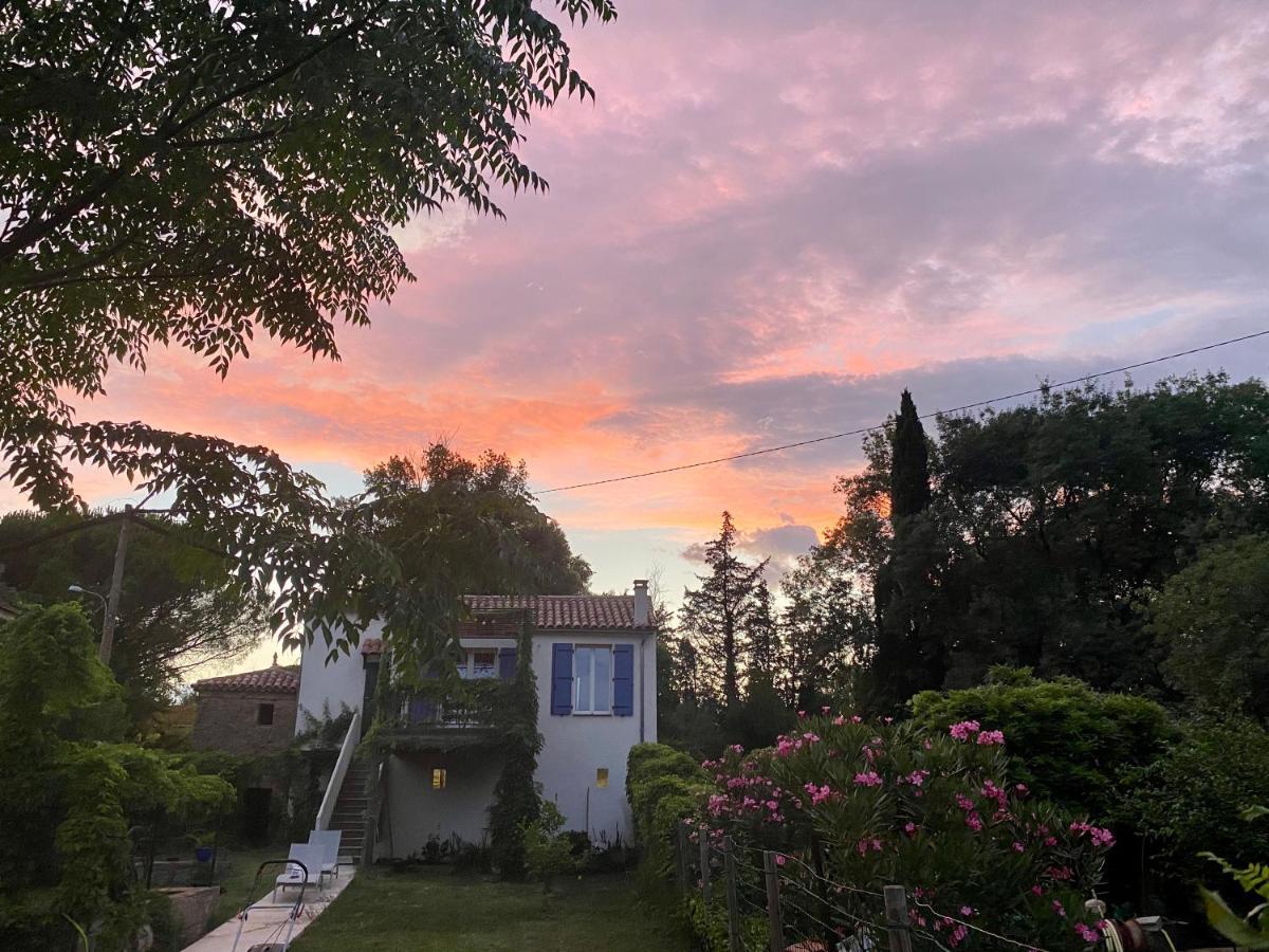 Petite maison de charme - Le jardin secret d'Alice Roquebrune-sur Argens Extérieur photo